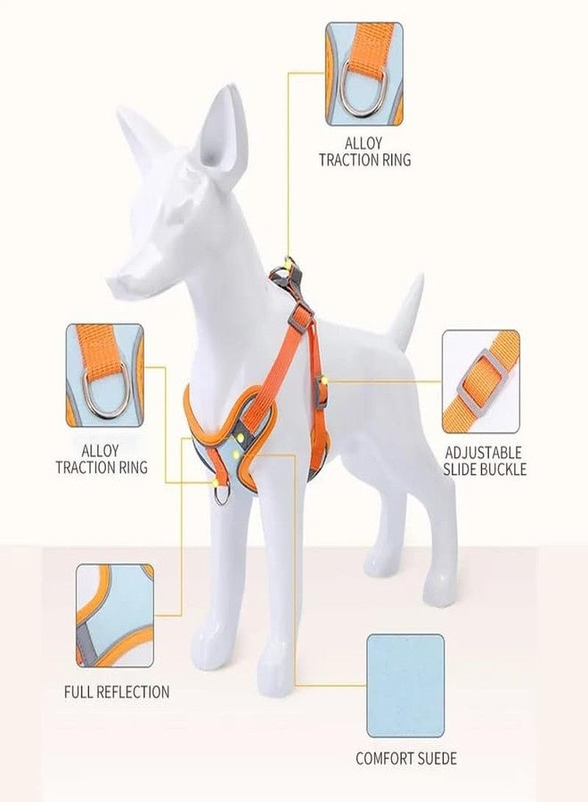 ATHA طقم حزام ومقود للقطط الصغيرة من ATHA | سترة مانعة للهروب للمشي | حزام آمن وسهل التحكم للحيوانات الأليفة ليلاً مع حزام عاكس مناسب للكلاب الصغيرة والجراء والقطط الصغيرة (قطعة واحدة، 1.5 متر) - Image 5